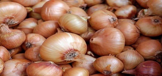 UK: Tearless onion variety, Sunions, go on sale across supermarkets