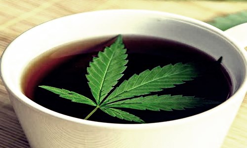 Redfund updates cannabis tea brand Mary’s Wellness’ operations